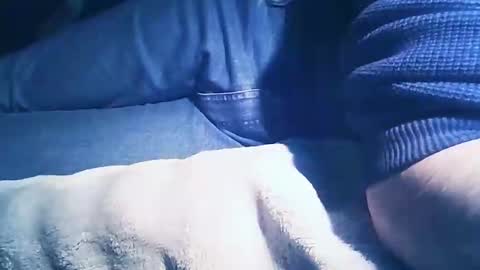 vicvictoree online show from 1, 2, 2026