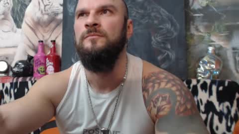 Snapshot of viking_me chatting on 8, 12, 2024 viking online show from 8, 12, 2024