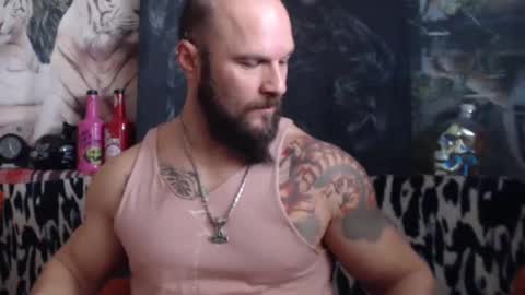 Snapshot of viking_me chatting on 15, 12, 2024 viking online show from 15, 12, 2024