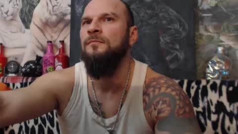 Snapshot of viking_me chatting on 24, 12, 2024 viking online show from 24, 12, 2024