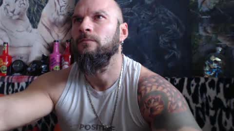 Snapshot of viking_me chatting on 31, 12, 2024 viking online show from 31, 12, 2024