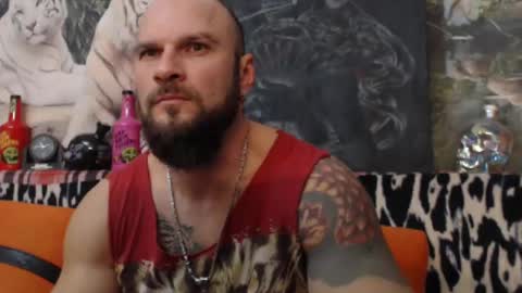 Snapshot of viking_me chatting on 1, 1, 2025 viking online show from 1, 1, 2025