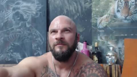 Snapshot of viking_me chatting on 15, 9, 2025 viking online show from 15, 9, 2025