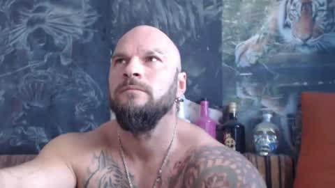 Snapshot of viking_me chatting on 5, 10, 2025 viking online show from 5, 10, 2025