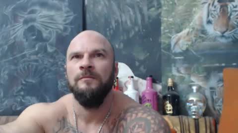 Snapshot of viking_me chatting on 16, 10, 2025 viking online show from 16, 10, 2025