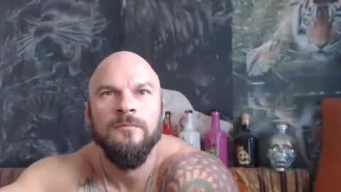 viking online show from 24, 10, 2025