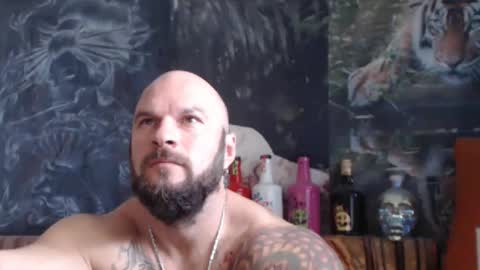 viking online show from 27, 10, 2025