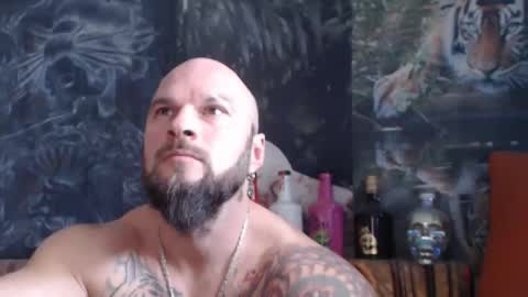 viking online show from 11, 11, 2025