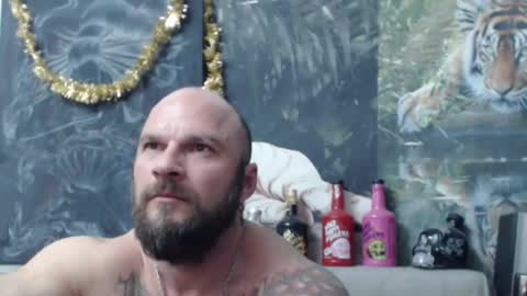 viking online show from 17, 3, 2026