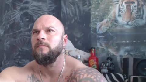 viking online show from 15, 4, 2026