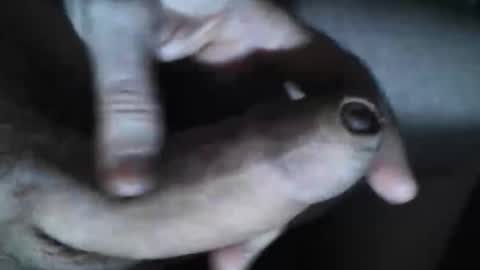   online show from 30, 10, 2025