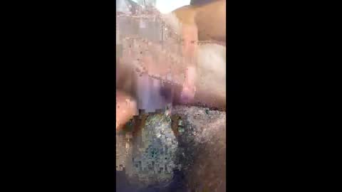 vincycock99 online show from 27, 4, 2026