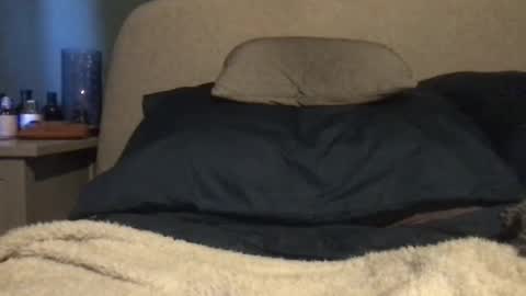 Snapshot of vinny440 chatting on 3, 3, 2025 Vinny online show from 3, 3, 2025