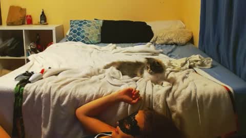 Sanji online show from 28, 4, 2026