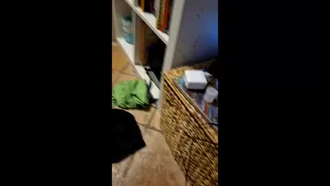 Vinz online show from 11, 3, 2026