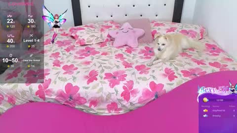 Snapshot of violet_stone22 chatting on 3, 2, 2026 Violeta online show from 3, 2, 2026