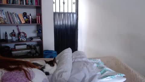 Violeta Peter online show from 23, 2, 2025