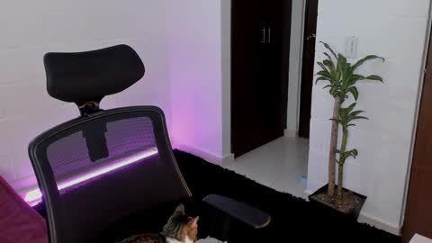 Lu online show from 5, 3, 2025