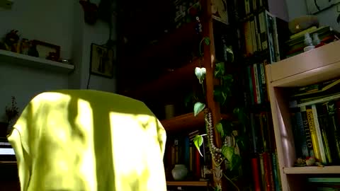 Snapshot of vivid_ether chatting on 27, 10, 2025 Viv online show from 27, 10, 2025