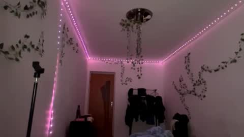 Vivi online show from 2, 12, 2025