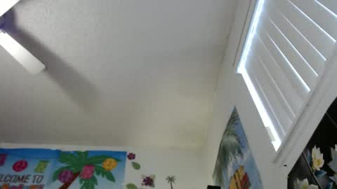 Vixen Fyre online show from 16, 12, 2024