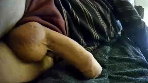 vleeslollie2024 online show from 10, 1, 2025