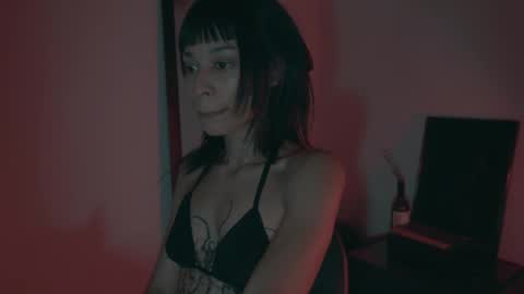 Snapshot of vortexspecter chatting on 19, 2, 2026 vortexspecter online show from 19, 2, 2026