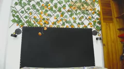 Snapshot of vskayper chatting on 28, 4, 2026 skay online show from 28, 4, 2026