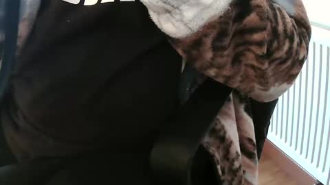 Snapshot of vulkan12p chatting on 4, 2, 2025 Daniel online show from 4, 2, 2025