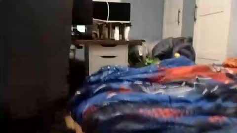 Snapshot of wakarimashitaz chatting on 3, 12, 2025 Wakarimashita01 online show from 3, 12, 2025