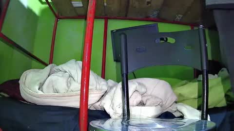 Kentaro online show from 29, 12, 2024