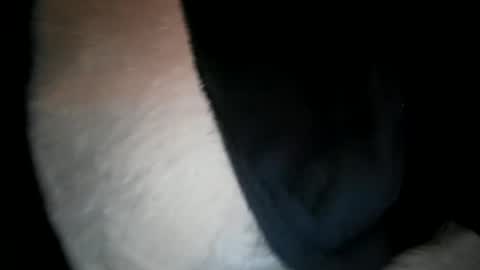 wantobone2 online show from 9, 2, 2026