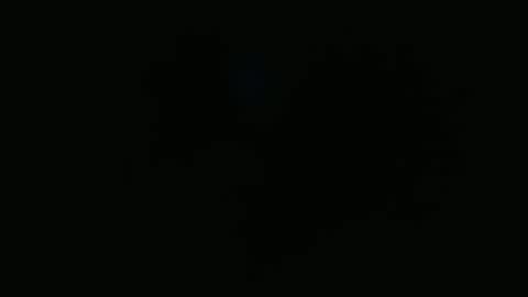 wapos__25 online show from 25, 11, 2025