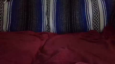 Snapshot of warishcow chatting on 11, 12, 2024 Warishcow online show from 11, 12, 2024