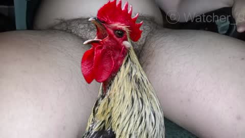 Snapshot of watcher_9 chatting on 29, 12, 2024 classified online show from 29, 12, 2024