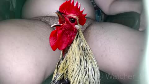 Snapshot of watcher_9 chatting on 9, 11, 2025 classified online show from 9, 11, 2025