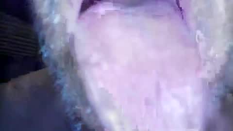 wayne1311 online show from 1, 3, 2026