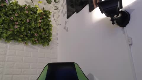 Trixie 3 online show from 12, 2, 2025