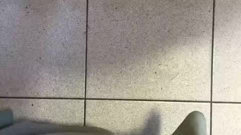 webchatter99 online show from 29, 3, 2026