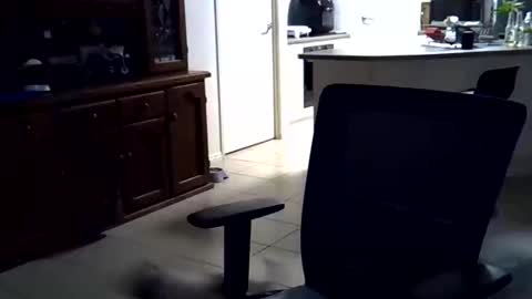 Wellhelloo online show from 15, 2, 2026