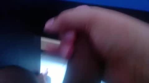 wellingtont online show from 12, 1, 2026