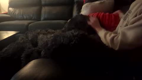 Snapshot of wellocal chatting on 21, 12, 2025 wellocal online show from 21, 12, 2025