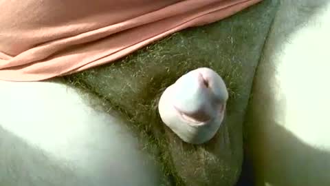 Snapshot of welshstuds chatting on 30, 9, 2025 welshstuds online show from 30, 9, 2025