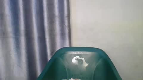 Snapshot of wetfatpussy_ chatting on 13, 2, 2026 wetfatpussy_ online show from 13, 2, 2026