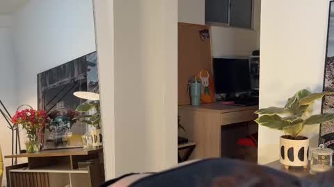 Aleska online show from 9, 3, 2026