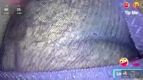 white_sexy_ online show from 2, 2, 2026