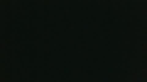 Snapshot of whitehead_lion chatting on 15, 12, 2025 whitehead_lion online show from 15, 12, 2025