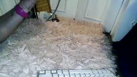 Snapshot of wifeonly chatting on 11, 7, 2026 Wifeonly online show from 11, 7, 2026