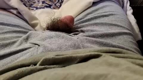 Wild-at-heart online show from 22, 12, 2024