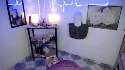 Snapshot of wildflowermitch chatting on 14, 12, 2025 Mitch online show from 14, 12, 2025